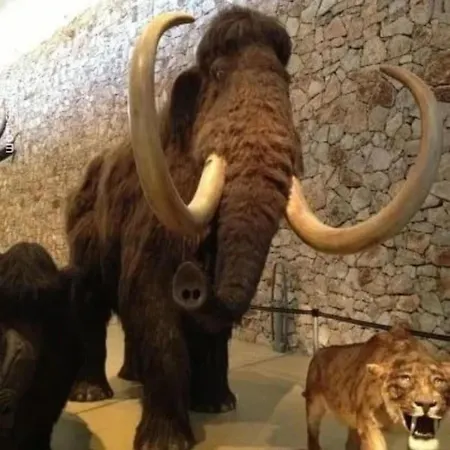 Kapslový hotel La Roulotte Du Verdon