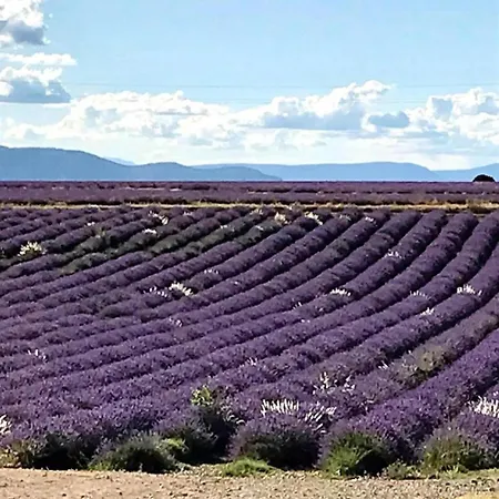 Ξενοδοχείο με κάψουλες La Roulotte Du Verdon Quinson