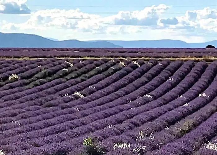Capsule hotel La Roulotte Du Verdon Quinson